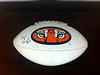 2002 Autographed Auburn Tigers Football