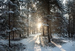 'Winter Wonderland', United States, Wisconsin,...