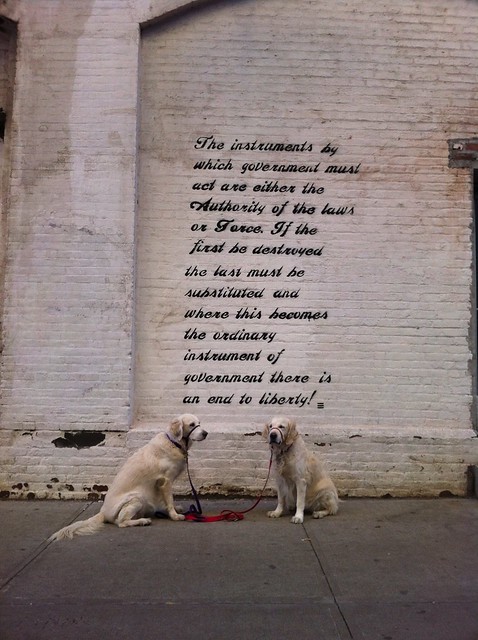 Daily Street Art in DUMBO Dogs 7 January 2011