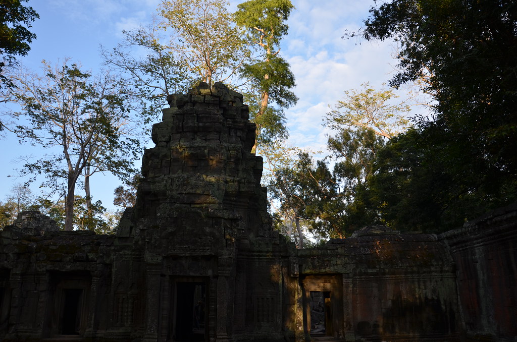 : Morning in the Ta Prohm 2