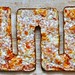 All-Edge Sicilian Pizza (with a Nod to Detroit)