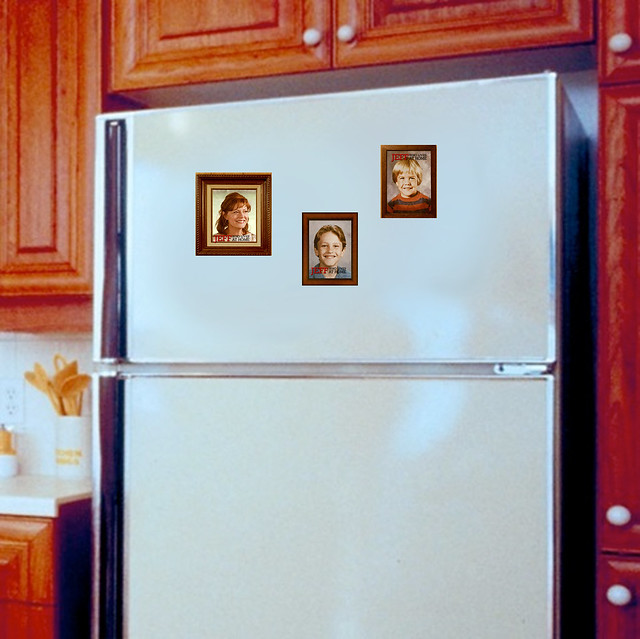 fridge magnets