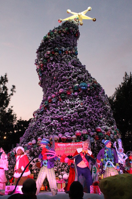 The Wholiday Tree Lighting Ceremony