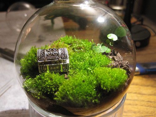 Treasure chest and moss terrarium