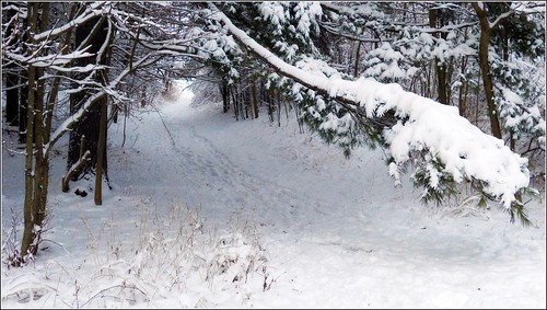 Winter Snow Path by blmiers2, on Flickr