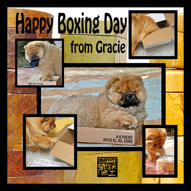 HAPPY BOXING DAY FROM GRACIE