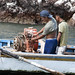 Coppia di giovani pescatori passano per le Islas Ballestas