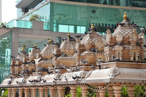 Doves on the temple rooftops ©  Still ePsiLoN
