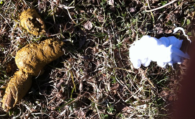 two ingredients for frothy santorum lube and fecal matter pic 1