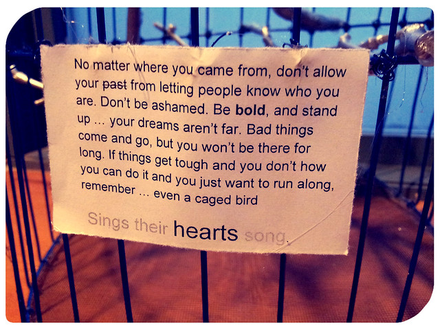 I know why the caged bird sings (the sign)
