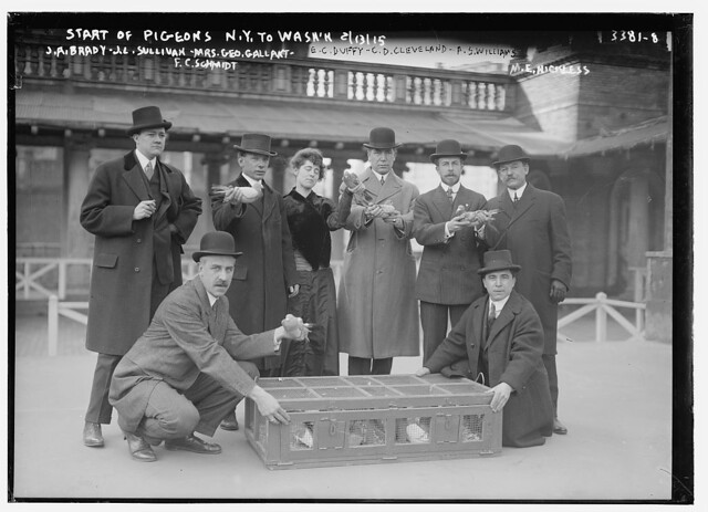Start of pigeons N.Y. to Washn, 2/13/15 --- J.A. Brady, J.L. Sullivan, Mrs. Geo. Gallant, F.C. Schmidt, E.C. Duffy, C.D. Cleveland, A.S. Williams, M.E. Hickless (LOC)