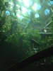 Amazing Aquarium