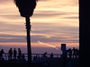 VENICE BEACH CALIFORNIA FEB 22, 2012 271