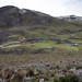 Paesaggio fuori Cerro de Pasco con diversi recinti per alpaca e lama