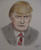 Donald Trump Hair drawing