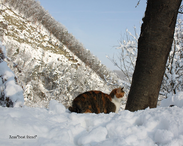 Monica Bellucci admiring the magnificent snowscape scenery!