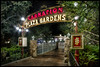 Carnation Plaza Gardens - Disneyland