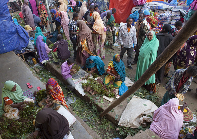 Adaway Khat market seller - Ethiopia