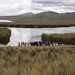 Un gruppo di abitanti del posto preparano una cerimonia ai lati del lago Junín