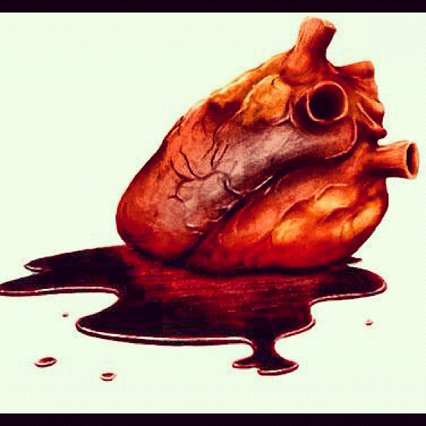 #heart #organ #life #coração #órgão #vida #transplant #transplante