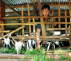 Workers with disabilities in Dong Nai