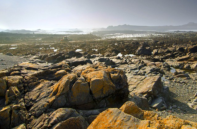Between Lihou Island and GUERNSEY into the sun and through the mist