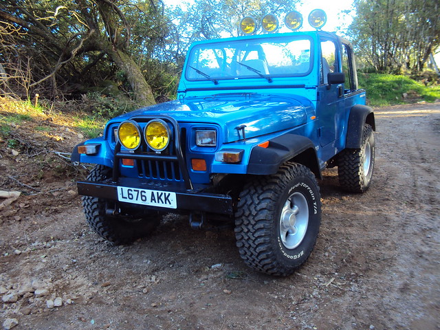 jeep 1993 wrangler bfgs