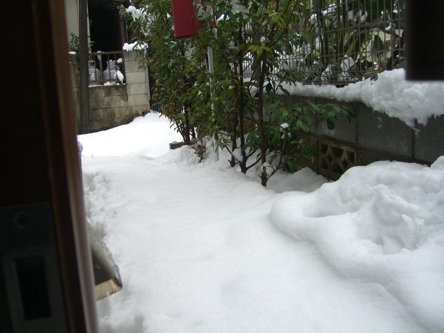 東京です　片流れです　雪止め無いです玄関...