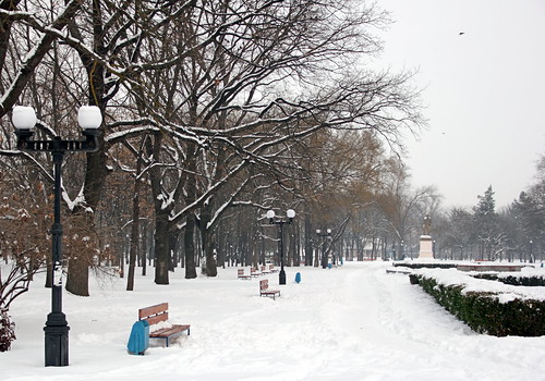 Winter morning in the park ©  eugene-r