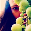GRAPES OF WRATH #grapes #green #vineyard #me #pictureoftheday