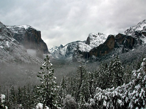 Curtis Kautzer's Yosemite