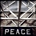 PEACE  #edmonton  #yeg  #alistairhenning   #yegart #edmontonart #albertaart #Canada #streetphotography #streetphoto #streetart #urban #urbanart #urbandecay #Hipstamatic #blackeys #b&w #noir #dark #lynch #davidlynch #instagram #peace #hospital