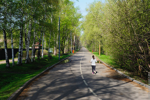 The girl running down the avenue. ©  Evgeniy Isaev