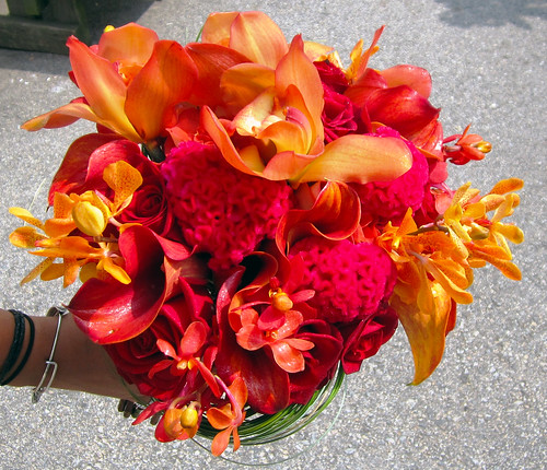 Her research also led her to celosia red and orange mokara orchids 