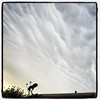 Cumulonimbus Mammatus Clouds Weather Texas Tornado Dallas Storm IMG_6720