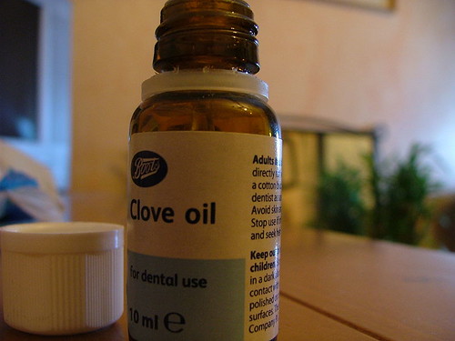 The Miracle of Cloves and Clove Oil – 5/17/12