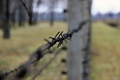 Auschwitz by j.guo., on Flickr