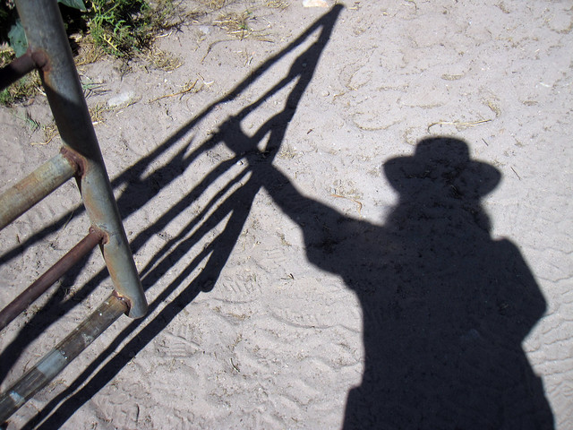 Shadow cowgirl