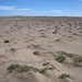 Piccole dune nel Desierto de Sechura