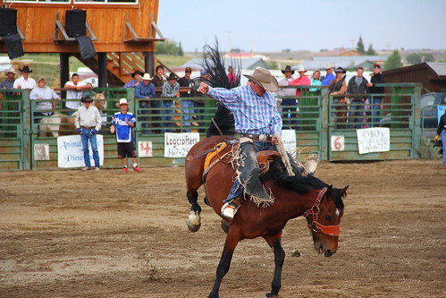 Pinedale Rodeo