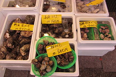 Fresh shellfish for sale