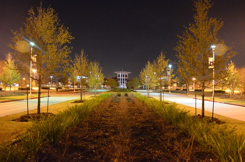 Central Campus night shot