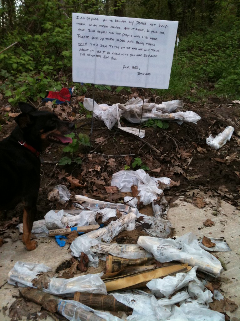 I AM PAYING YOU TO DELIVER MY PAPERS NOT DUMP THEM IN AN ILLEGAL MANOR. GET IT RIGHT, DO YOUR JOB, HAVE SOME RESPECT FOR THE PEOPLE THAT LIVE HERE. PLEASE PICK UP THESE PAPER AND BRING THEM WITH THE SIGN TO MY OFFICE AND WE WILL TALK ABOUT IT. YES I DO KNOW WHO YOU ARE BECAUSE SOMEONE SAW YOU. YOUR BOSS, RICHARD