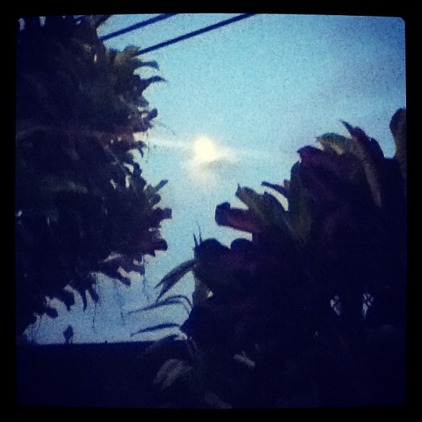 Full Moon: HOLY THURSDAY, 6:00pm;2013