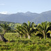 Vista delle prime montagne della Sierra Nevada de Santa Marta