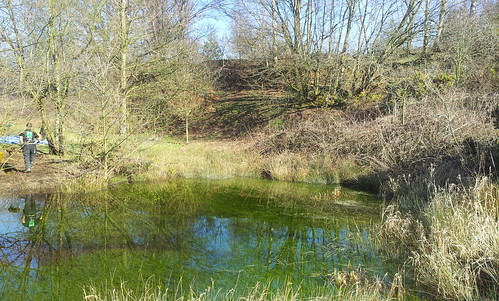 Landscape Gardening  Alderley Edge Image 19