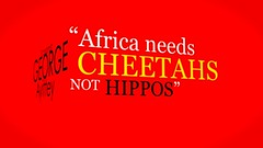 "Africa Needs Cheetahs, Not Hippos"
