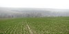 Ancre Valley  -  Battle of the Somme DSC03828.JPG