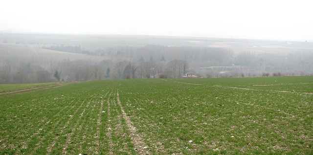 Ancre Valley  -  Battle of the Somme DSC03828.JPG