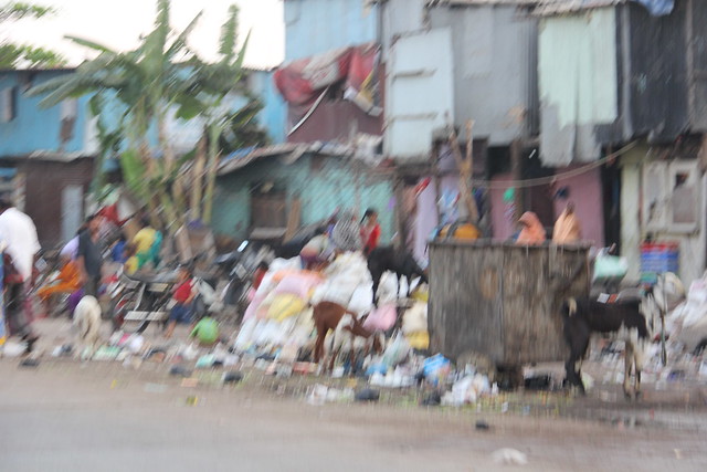 The Dirtiest Garbage Tourist Site Is At Nargis Dutt Slums Bandra Reclamation